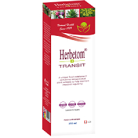 Herbetom - Herbetom Transit